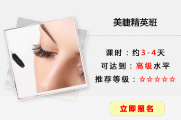 美睫精英培训课程