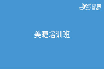 广州美睫培训班 