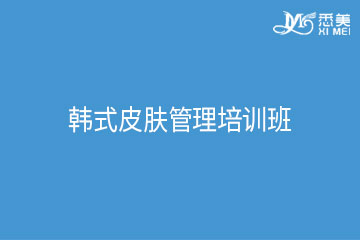 广州韩式皮肤管理培训班